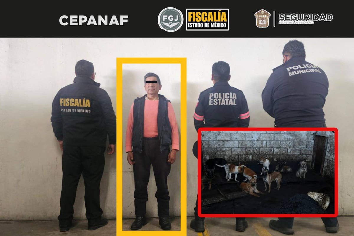 Prisión preventiva recibe carnicero por venta de carne de perro en EDOMEX, así como el aseguramiento de 108 perros