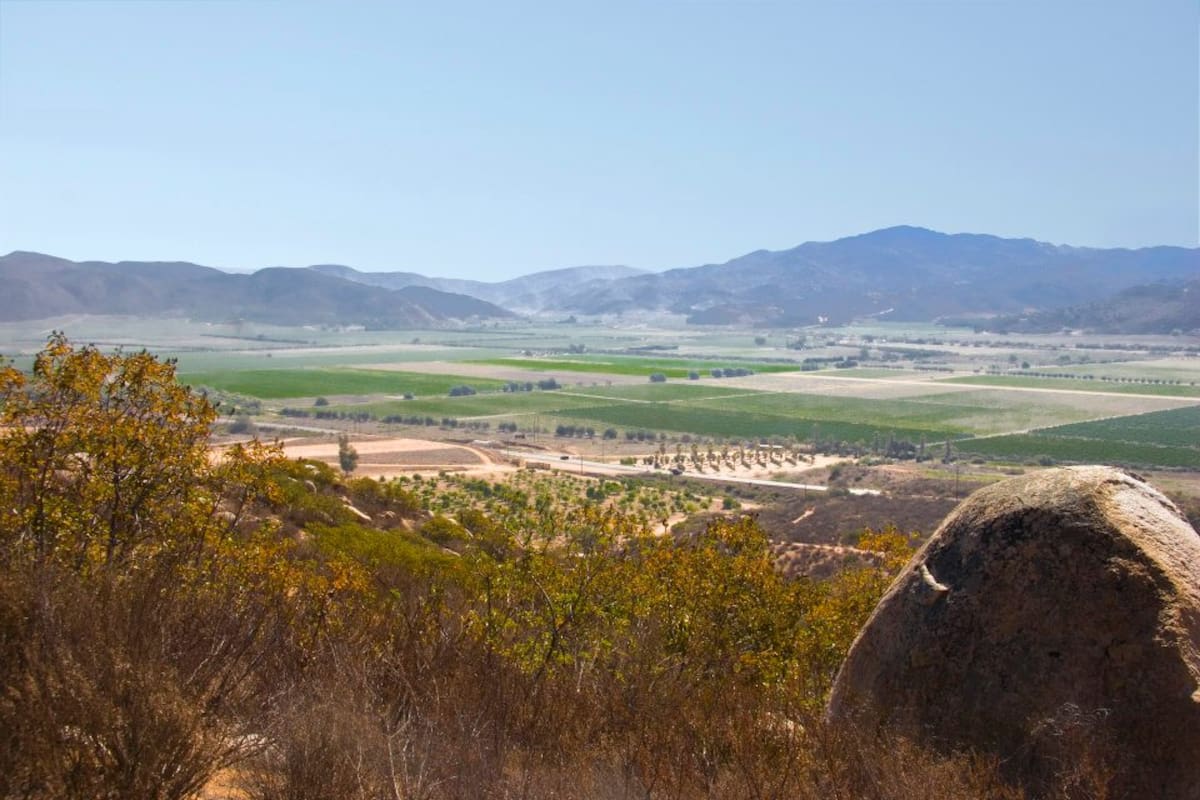 Impulsará turismo aeropuerto del Valle de Guadalupe