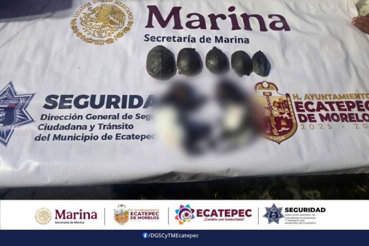 Detienen en Ecatepec a joven que transportaba crías de mono muertas y tortugas; investigan presunto uso en rituales de santería