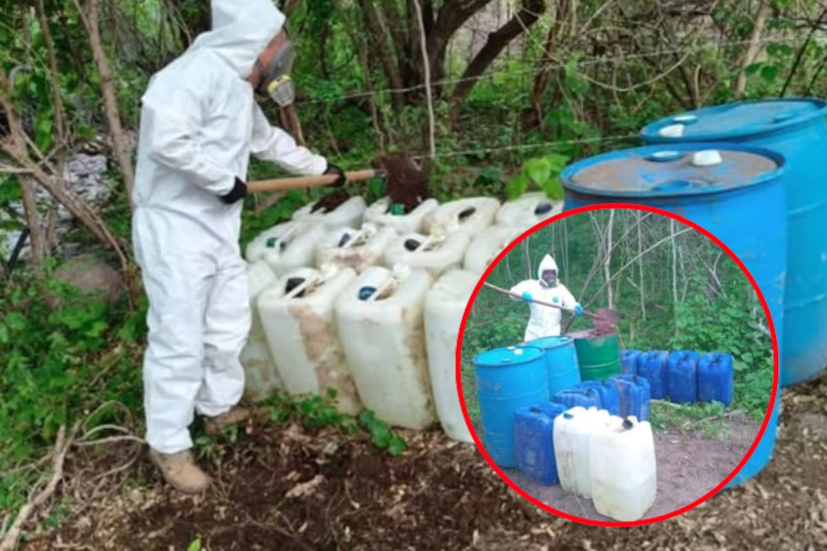 Desmantelan dos centros de químicos para drogas en Sinaloa: hallan más de mil 900 litros de sustancias peligrosas