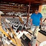 Comunidad Comcáac crea gallinero comunitario para llevar huevos orgánicos a niños indígenas de Sonora