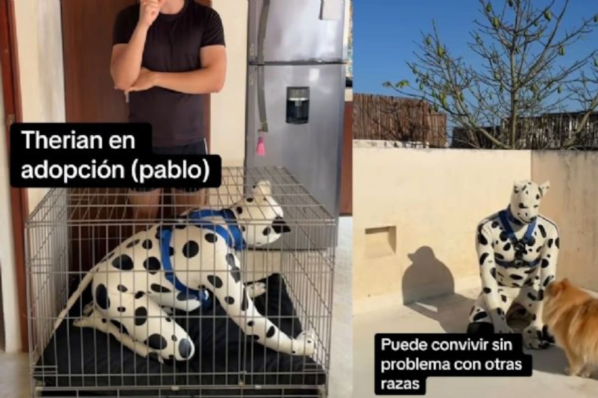 Therian de 42 años que se identifica como un perro dálmata busca ser adoptado