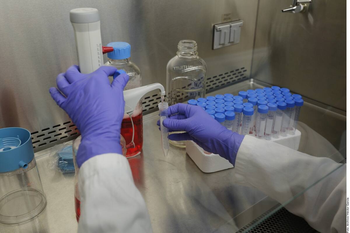 Científicos mexicanos se alistan para probar vacuna anti-Covid en humanos