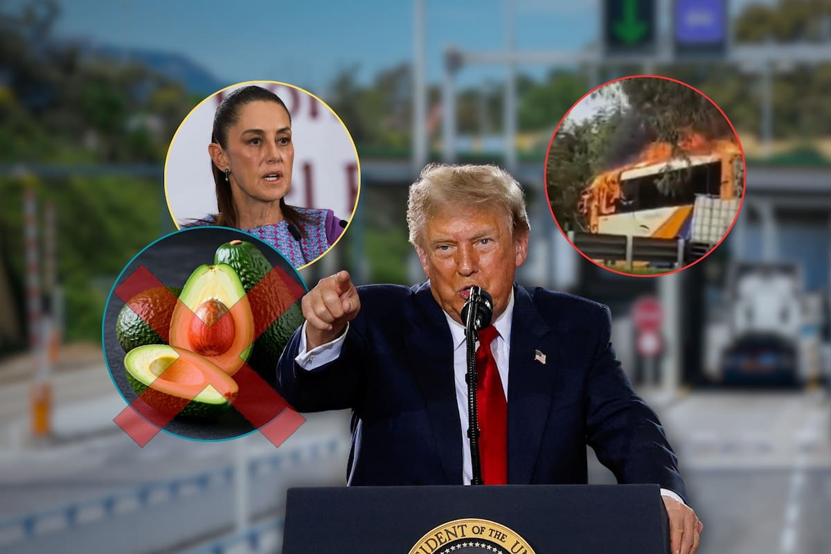 Luego de que Trump activó una alerta formal de seguridad para sus inspectores de sanidad fitosanitaria por la violencia en Michoacán, paralizó las exportaciones de aguacate mexicano hacia EEUU, arriesgando un mercado de 63 mil 350 millones de pesos