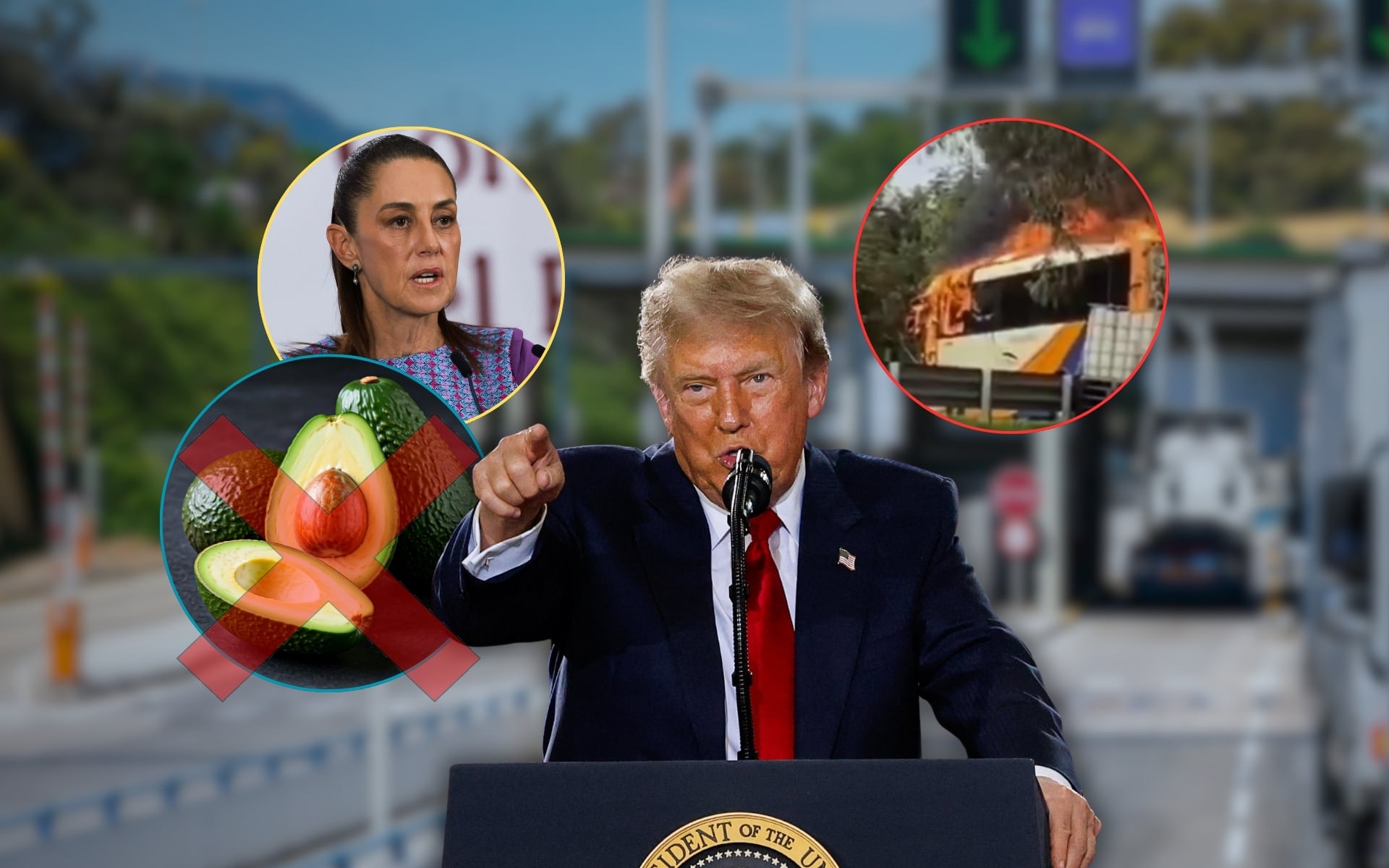 Estados Unidos suspendió las inspecciones de aguacate en Michoacán por inseguridad, una medida que amenaza exportaciones por miles de millones de dólares. Foto: Especial (Reuters/Ilustrativas)