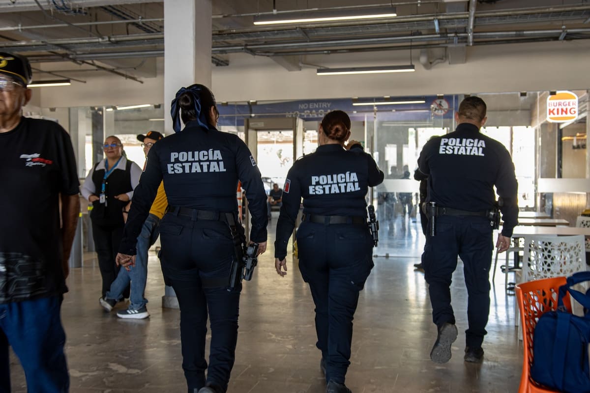 ¿Cuánto gana un policía en México en 2026? Este es el salario promedio y las horas que trabajan