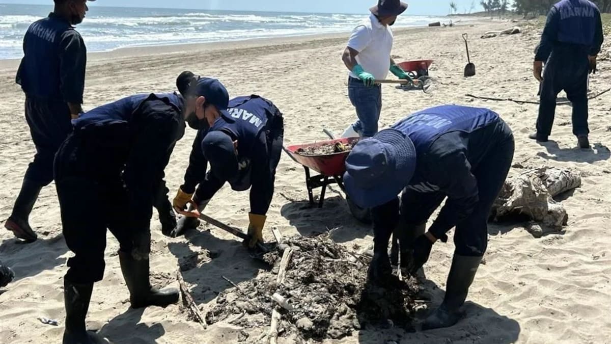 Derrame de hidrocarburo en Veracruz: activan operativo en playas de Tuxpan y Tamiahua y esto es lo que se sabe