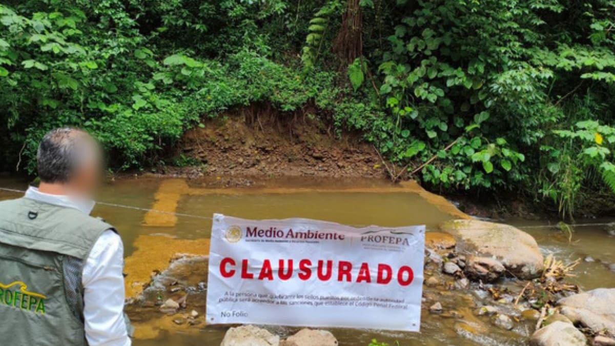 Profepa clausura presa construida dentro de un arroyo en Xico, Veracruz, tras denuncia ciudadana y por falta de permisos ambientales