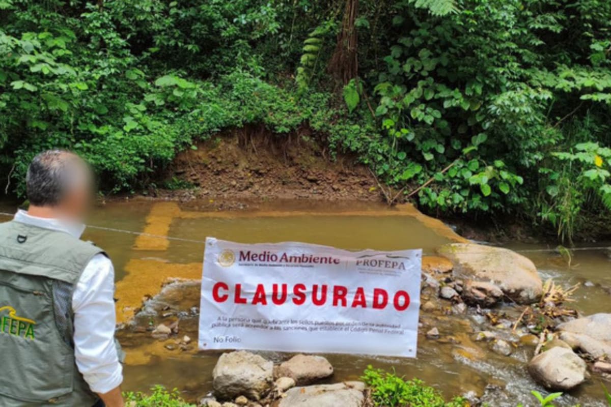Profepa clausura presa construida dentro de un arroyo en Xico, Veracruz, tras denuncia ciudadana y por falta de permisos ambientales