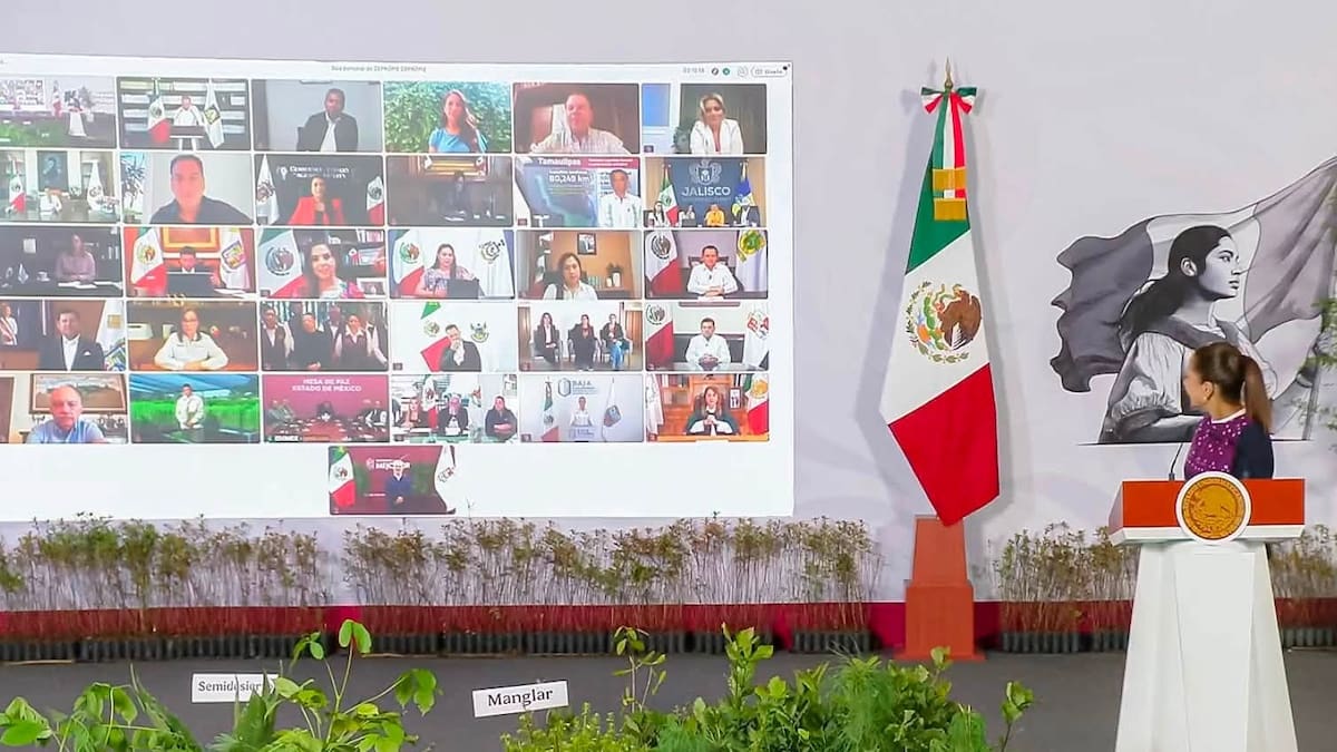 Marina del Pilar participa en la mañanera de Sheinbaum y anuncia reforestación de 100 hectáreas en Tecate