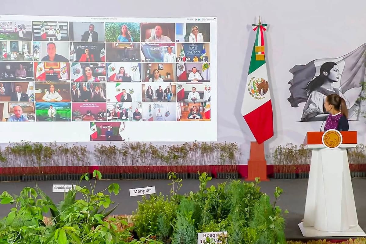 Marina del Pilar participa en la mañanera de Sheinbaum y anuncia reforestación de 100 hectáreas en Tecate