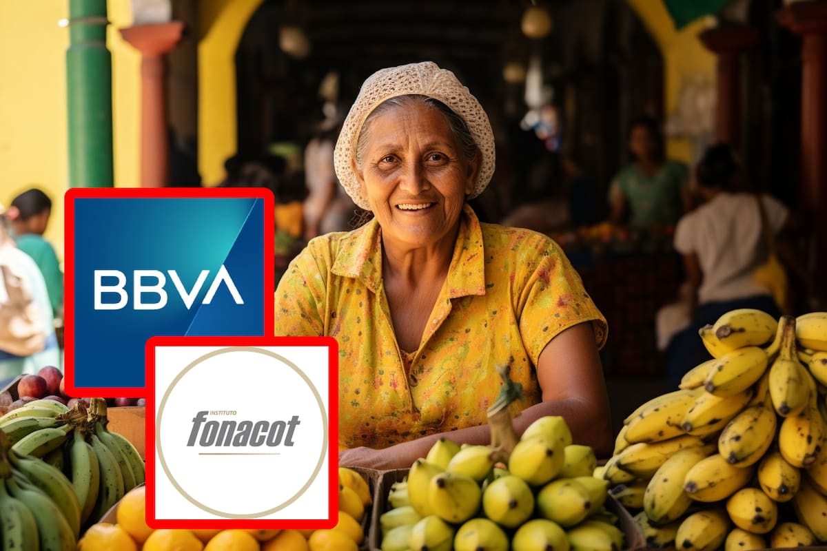 Préstamo por 100 mil pesos a 24 meses: ¿Es mejor el crédito Fonacot o BBVA?