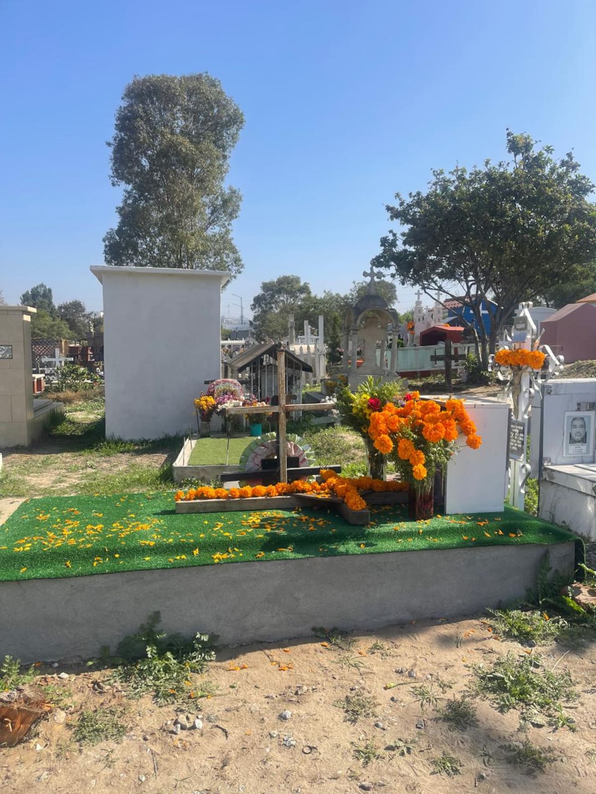 Foto: Carmen Gutiérrez