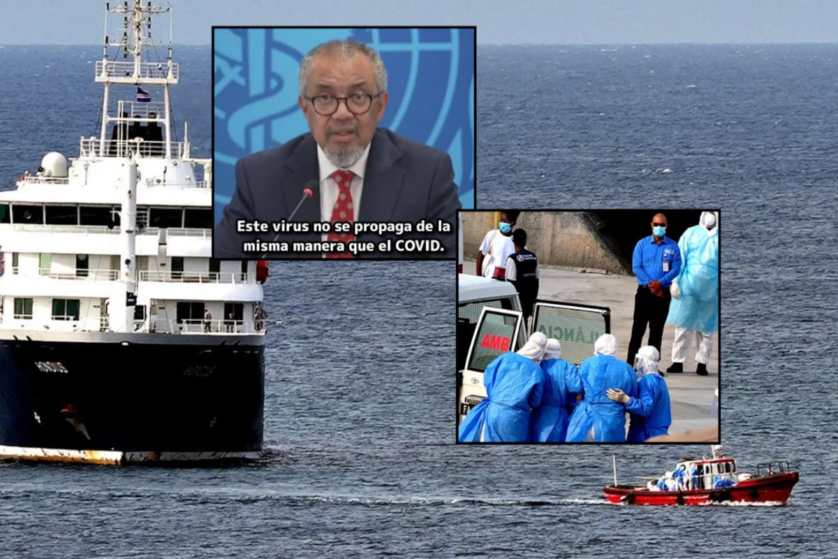 ¿Qué es el hantavirus y qué pasó en el crucero MV Hondius? Estos son los síntomas y alertas para identificarlo a tiempo