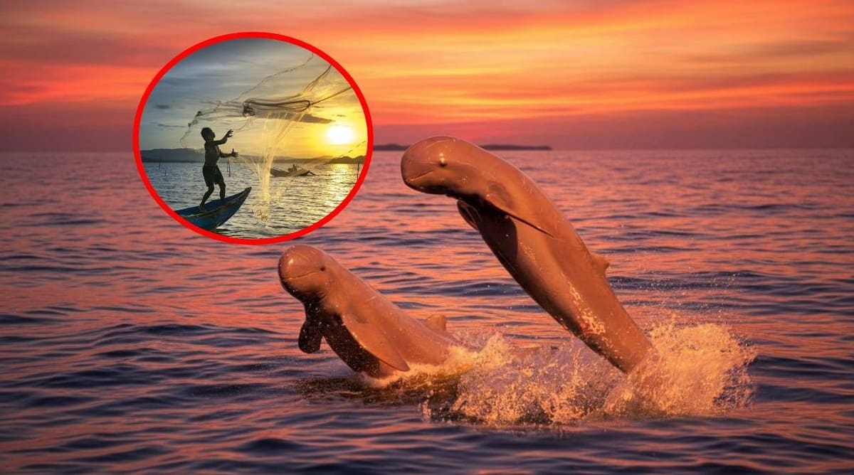 La especie está catalogada como en peligro de extinción por UICN. l Foto: IA Gemini / Pixabay