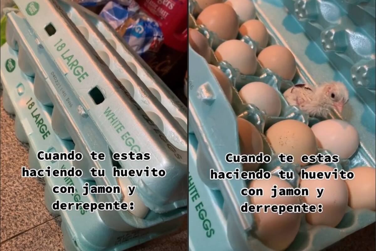 VIRAL: Mujer halla pollito vivo al prepararse unos huevos con jamón