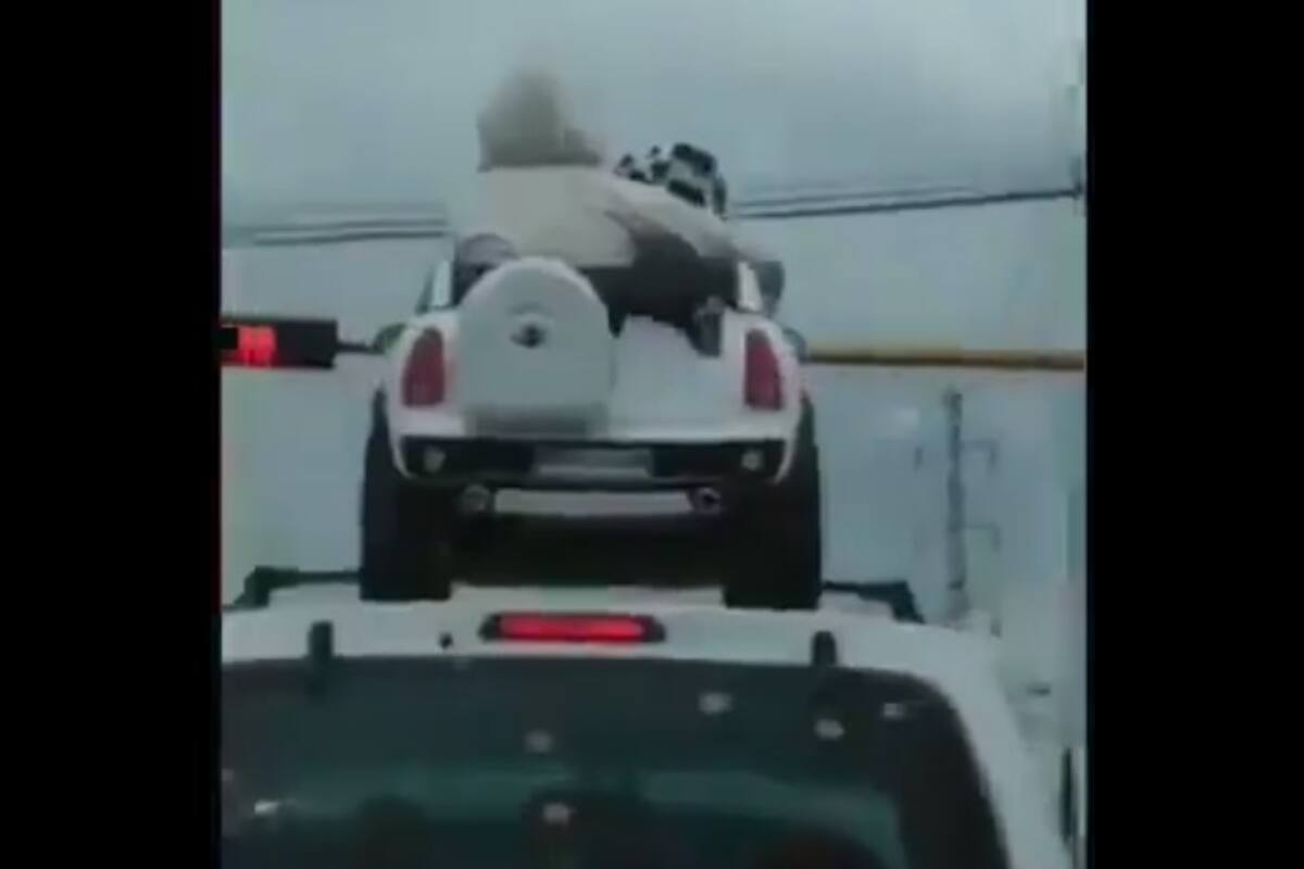 Indigna video de niños viajando en techo de camioneta en Jalisco