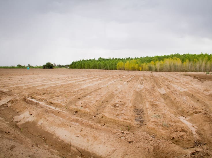 Cadáver de un hombre es hallado en parcela del valle
