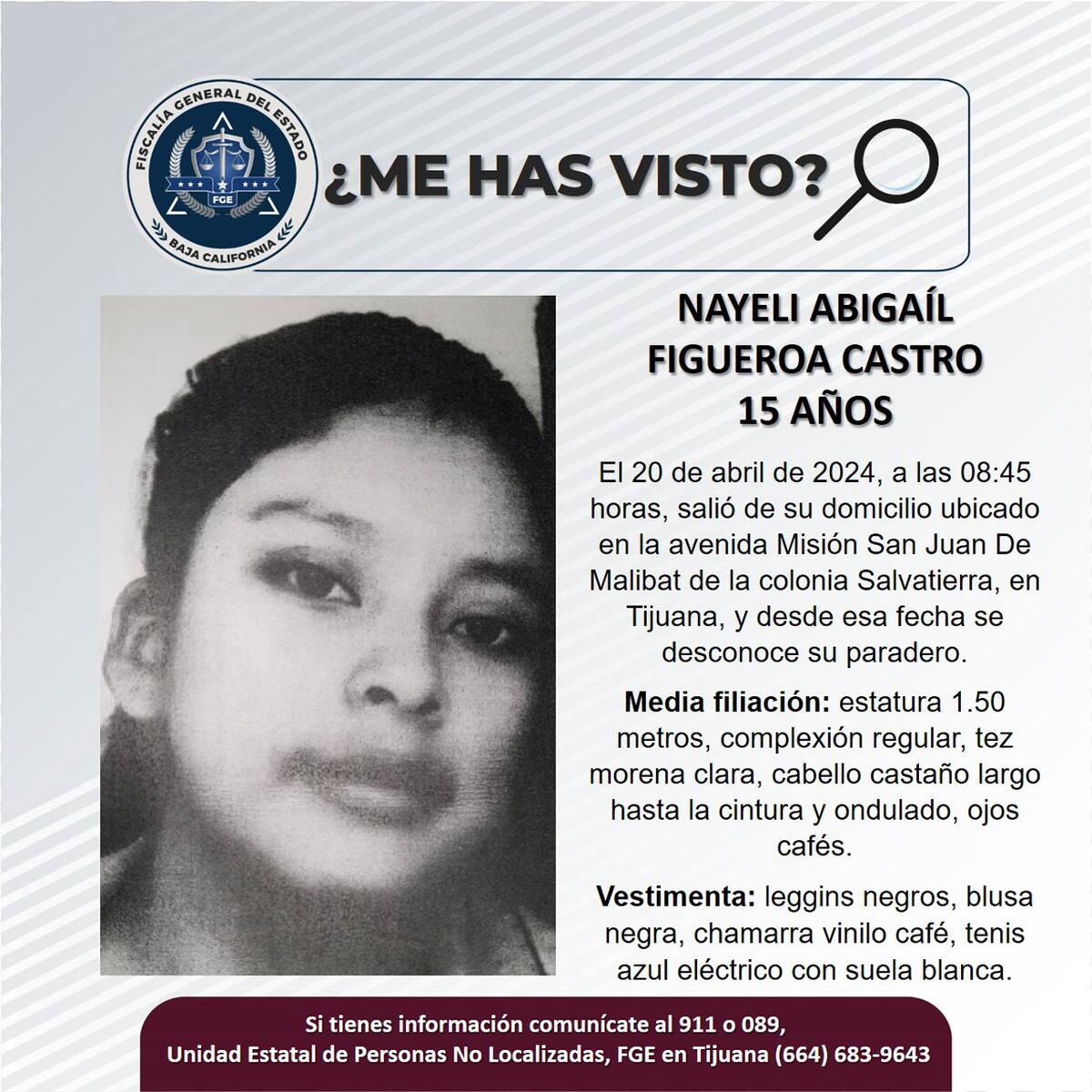 Pesquisa de Nayeli Abigaíl Figueroa Castro.