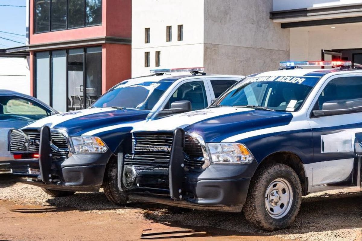 Violencia familiar encabeza denuncias en San Quintín