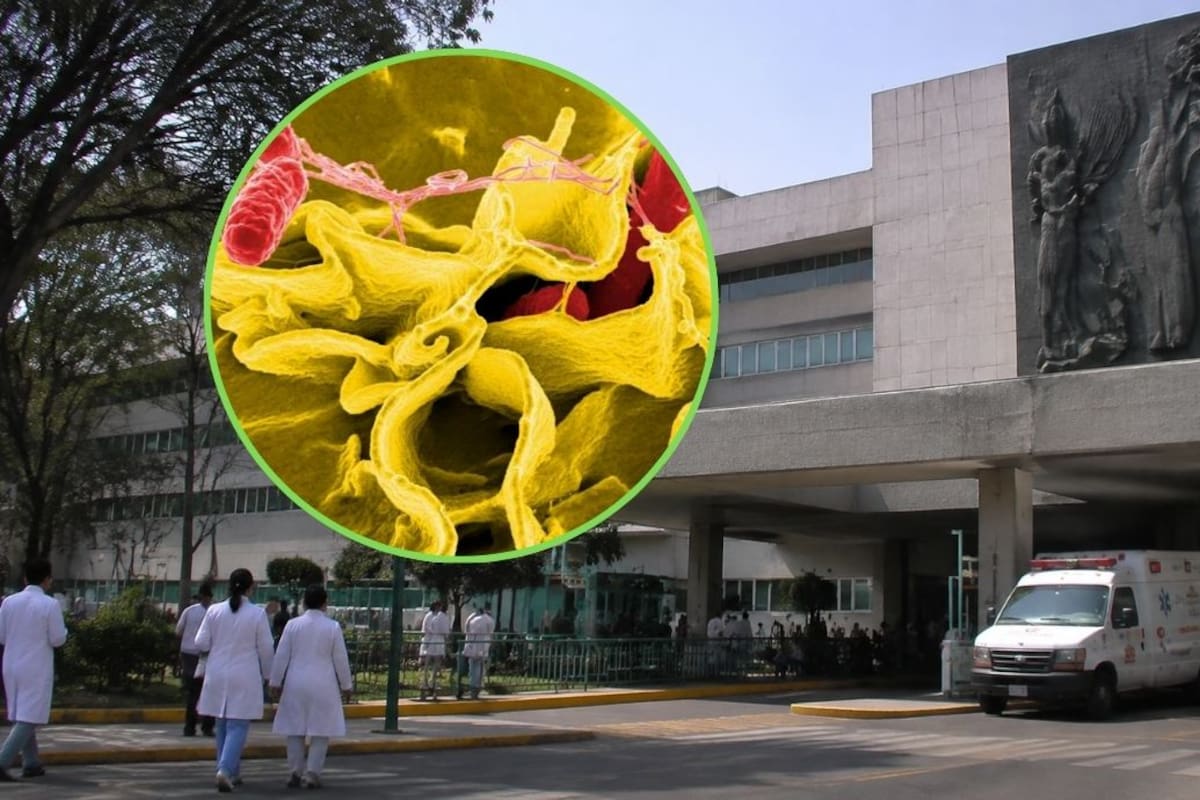 Más de 100 médicos residentes sufren brote de salmonela en el Hospital General de México tras comer en el comedor y 80 terminan internados en urgencias