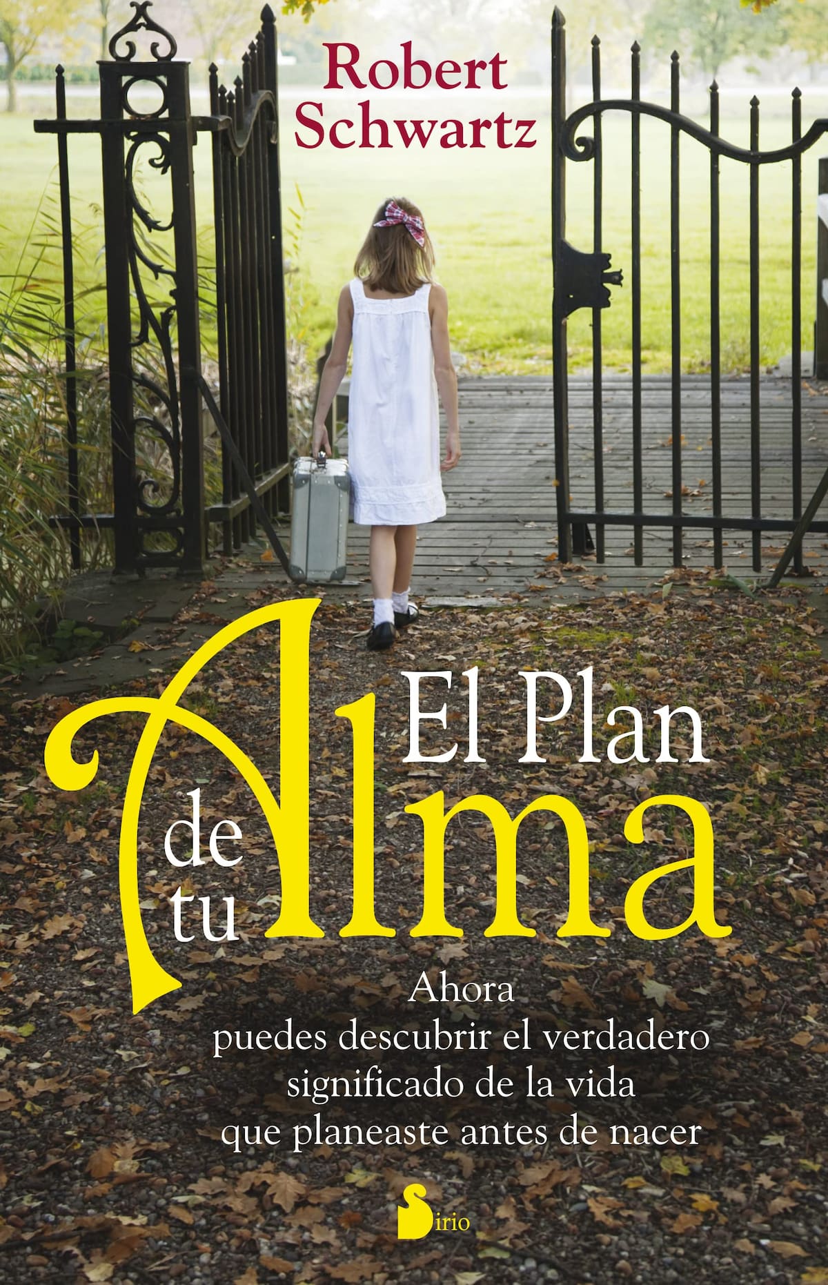 El plan de tu alma – Robert Schwartz