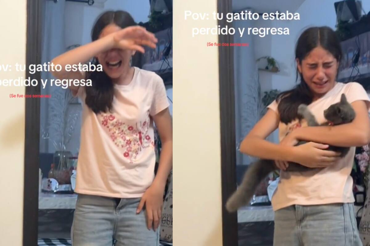 Joven rompe en llanto al ver que su gato extraviado regresó por sí mismo a casa (VIDEO)