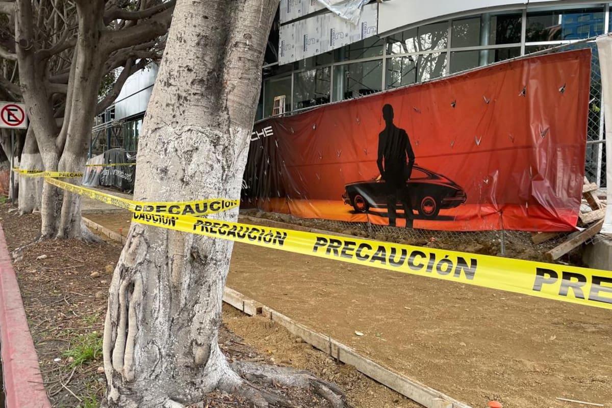 Así luce el sitio señalado por tala de árboles en Paseo de los Héroes