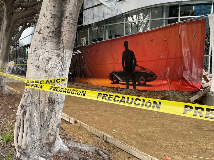 Así luce el sitio señalado por tala de árboles en Paseo de los Héroes