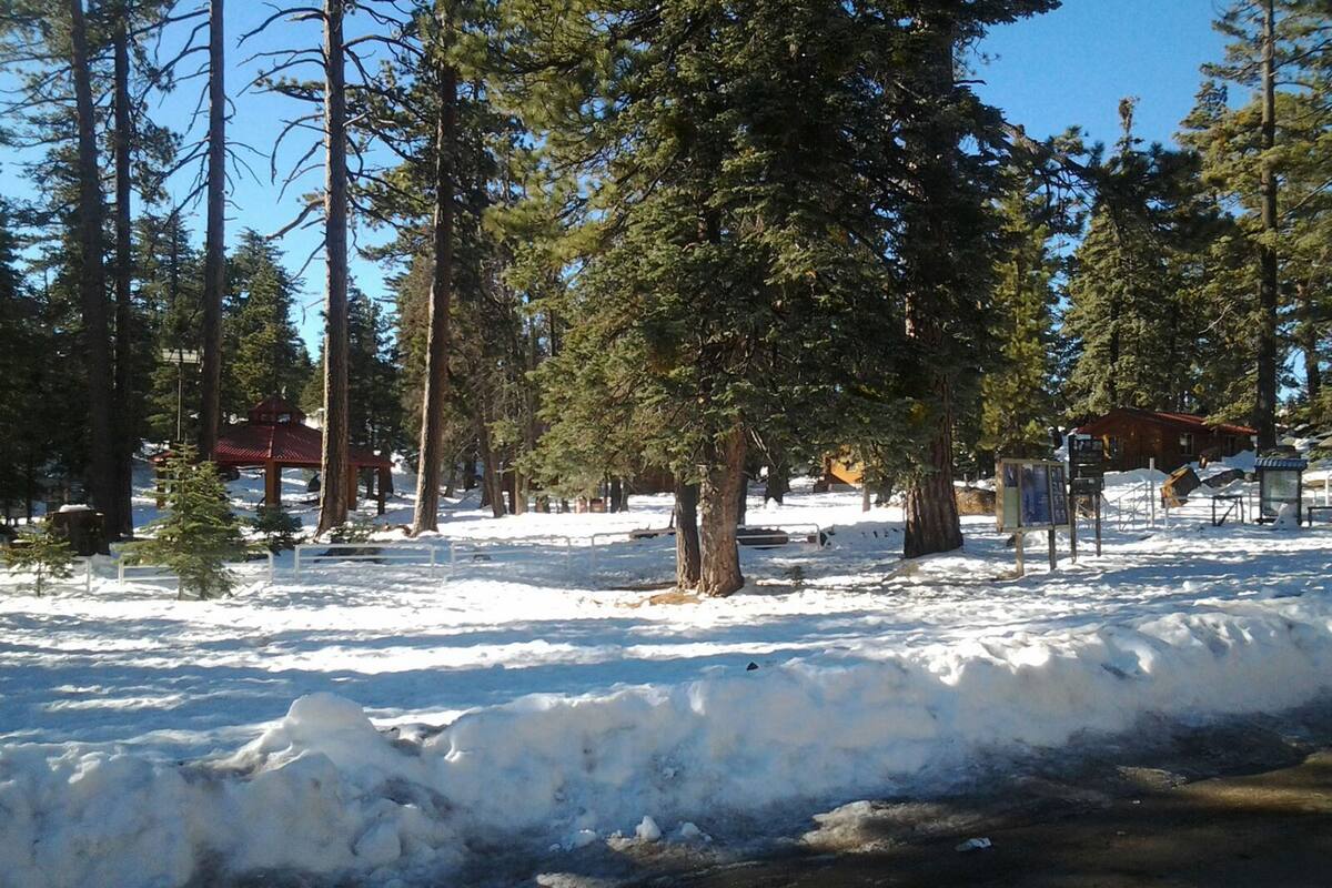 Cerrarán acceso a la Sierra de San Pedro Mártir por nevadas