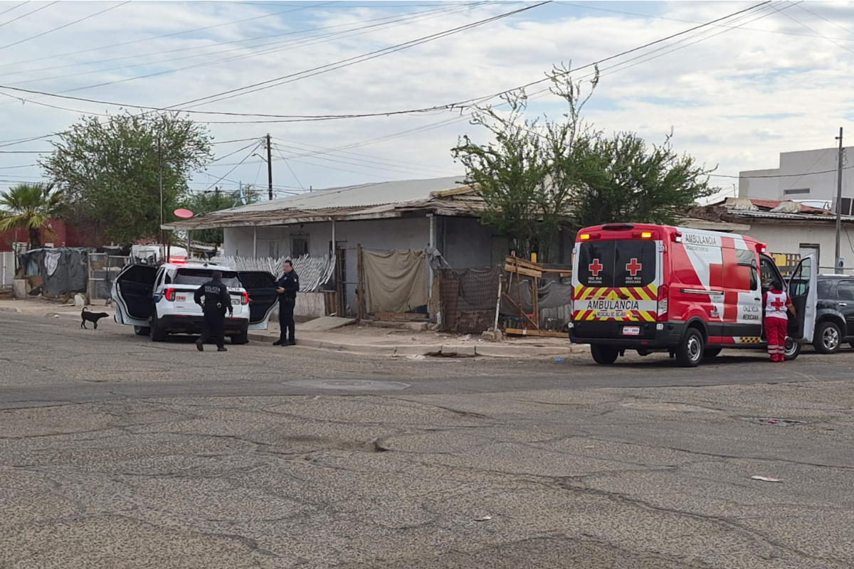 Hombre es atacado por dos perros en la colonia Libertad; vecinos denuncian agresiones recurrentes