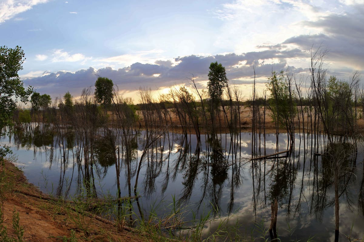 Proyectarán documental “The Colorado” por el Día Internacional del Río Colorado