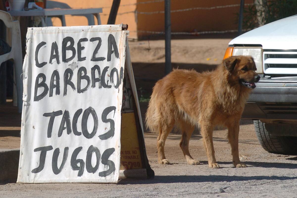 Rechazan que carnicero de perros sea de Guaymas o Empalme