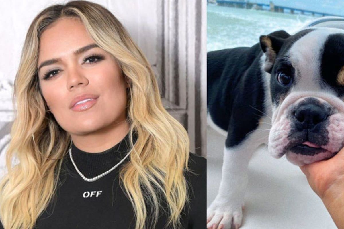 Critican a Karol G por usar a su perrito para hablar de racismo