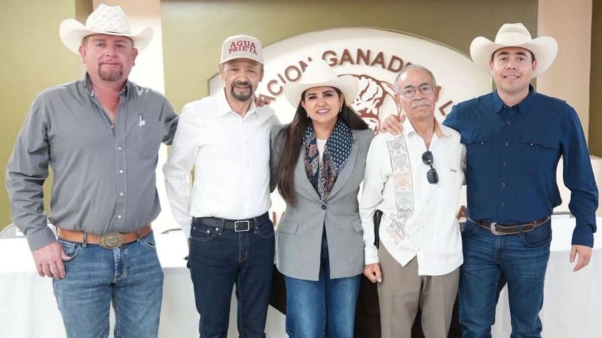 El Gobierno de Sonora activó una estrategia con 360 millones de pesos en créditos y refuerzo sanitario para proteger la exportación de ganado ante el cierre de la frontera.