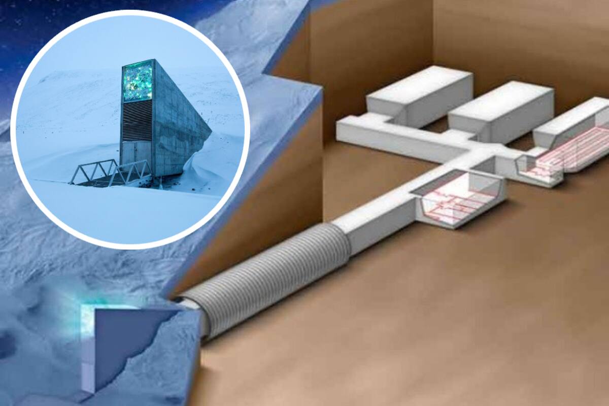 Conoce la Bóveda Global de Semillas que prepara a la humanidad para el fin del mundo