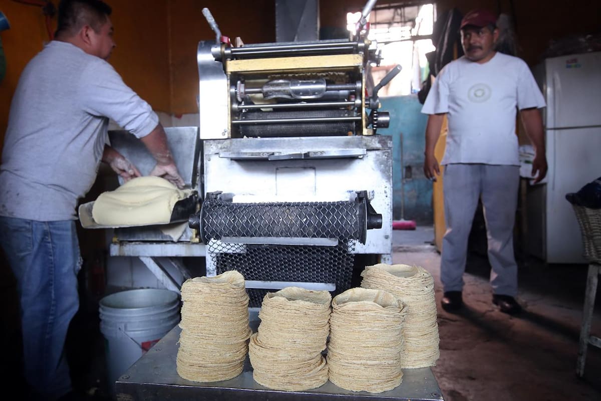 Precio del kilo de tortilla llega a los 24 pesos en Tijuana