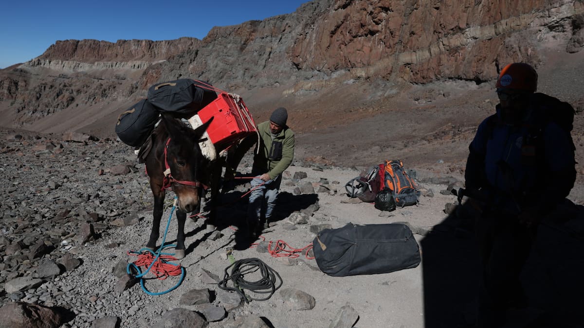 En Mendoza, al pie de los Andes, el rancho Wamani busca reducir su dependencia del exterior mediante energía solar, producción de alimentos y otros recursos propios. (REUTERS)