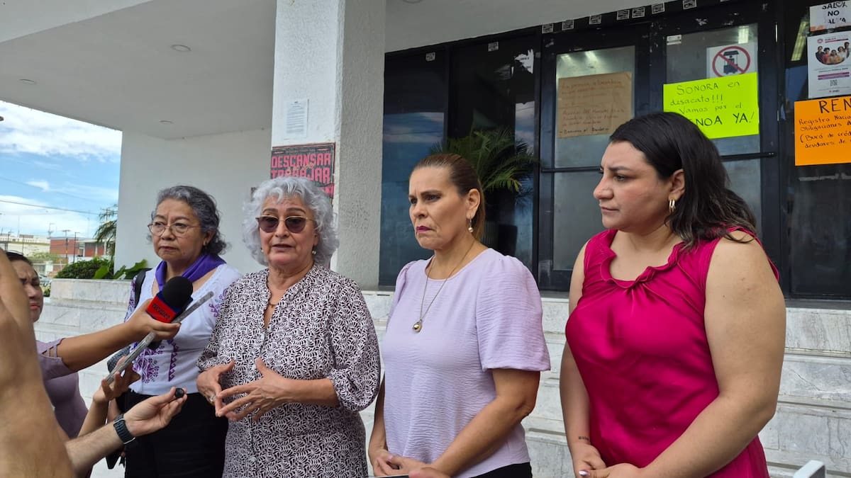 Observatoria Todas MX pide garantizar funcionamiento del Registro de Deudores Alimentarios en Sonora. | Tanya Vásquez