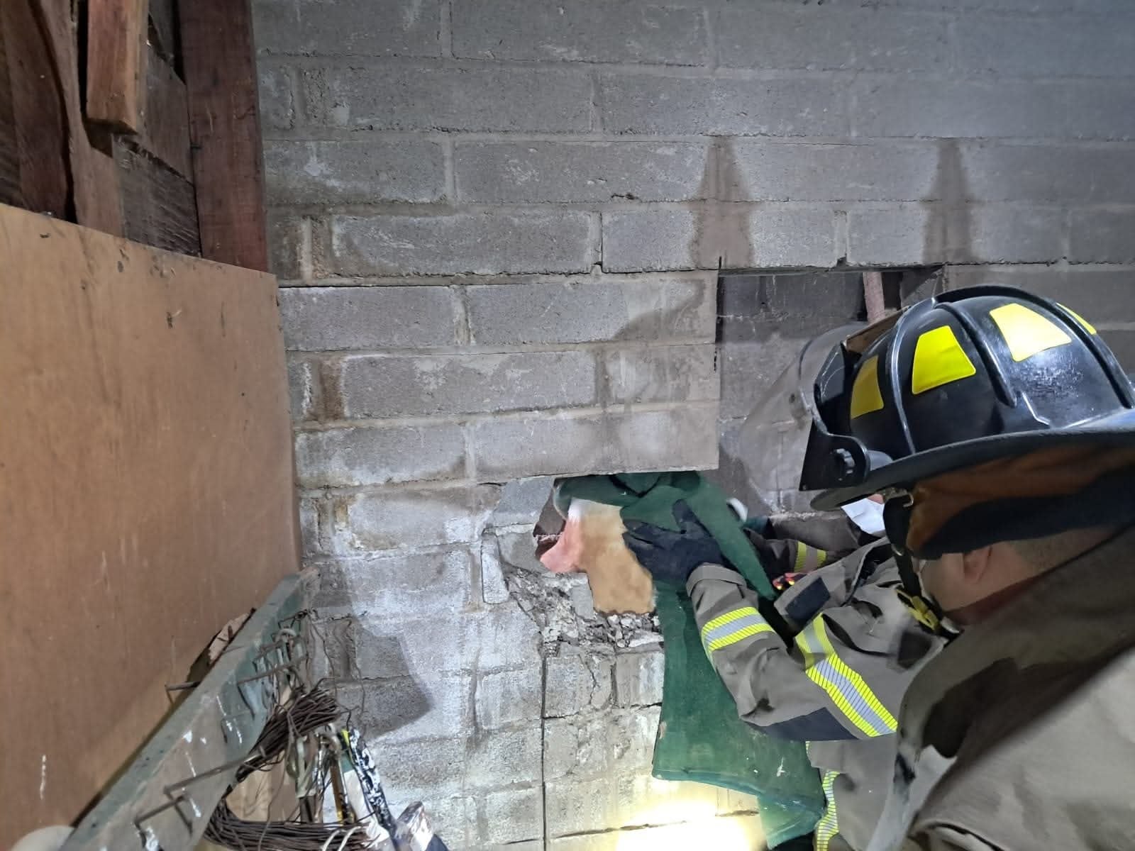 El animal fue atendido por un veterinario y entregado sano a su dueña. | Foto: Manuel Jiménez