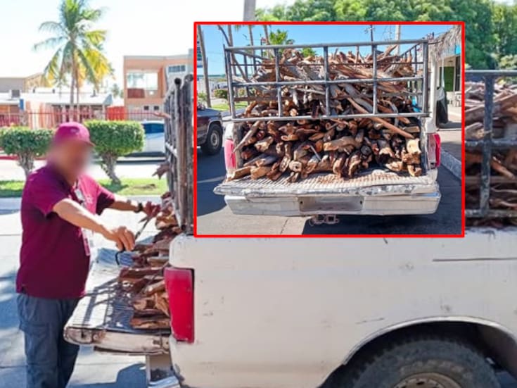 Profepa asegura transporte ilegal de madera en Loreto: 2.7 m³ de leña sin documentación