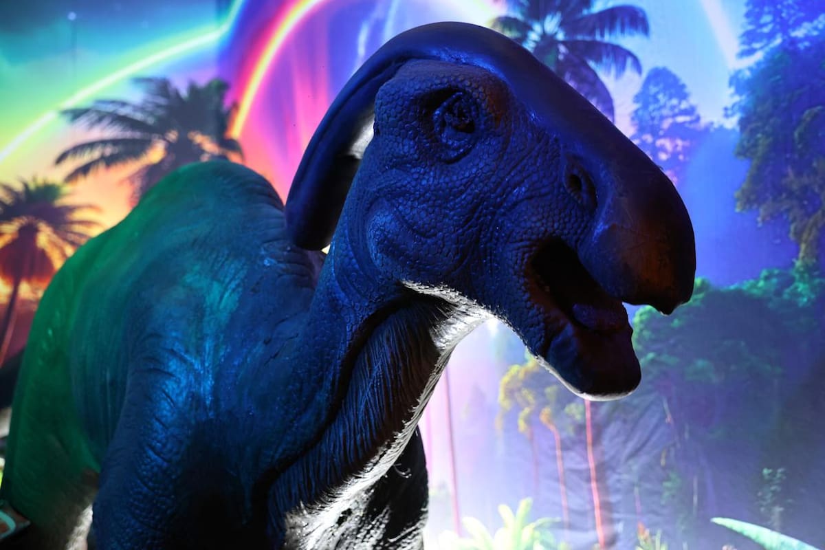 Dinosaurios animatrónicos llegan a Mexicali como parte del Festival de Octubre