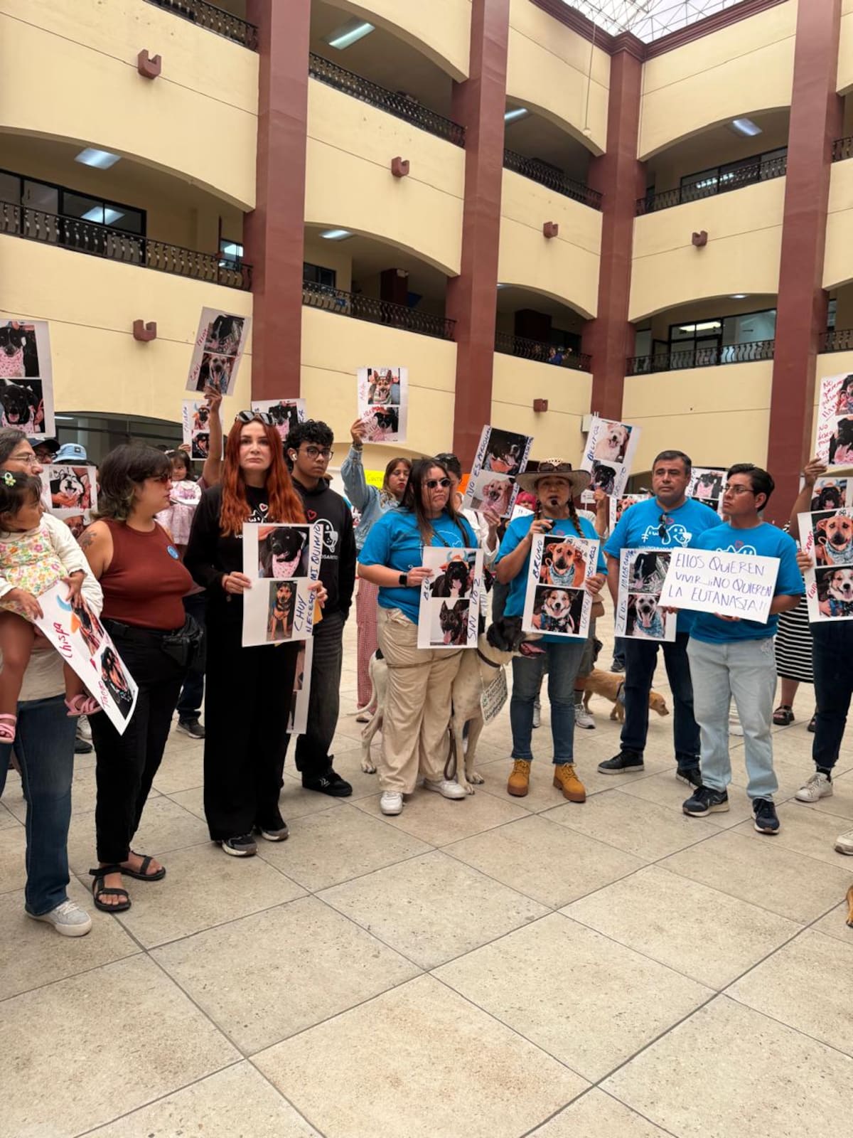 Integrantes de asociaciones protectoras de animales solicitaron restablecer el acceso de voluntarios a Control Canino y exigieron mayor transparencia y bienestar para los perros y gatos resguardados. Foto: Carmen Gutiérrez