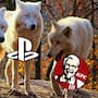 Domino’s y KFC se burlan de PlayStation por su plan de eliminar los videojuegos físicos en 2028, parodiando un absurdo futuro donde la comida rápida también pase a ser únicamente digital