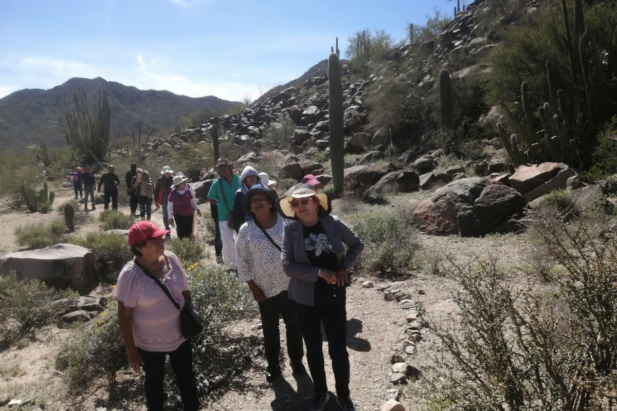 Aprovechan los turistas Semana Santa para visitar sitio arqueológico de Caborca
