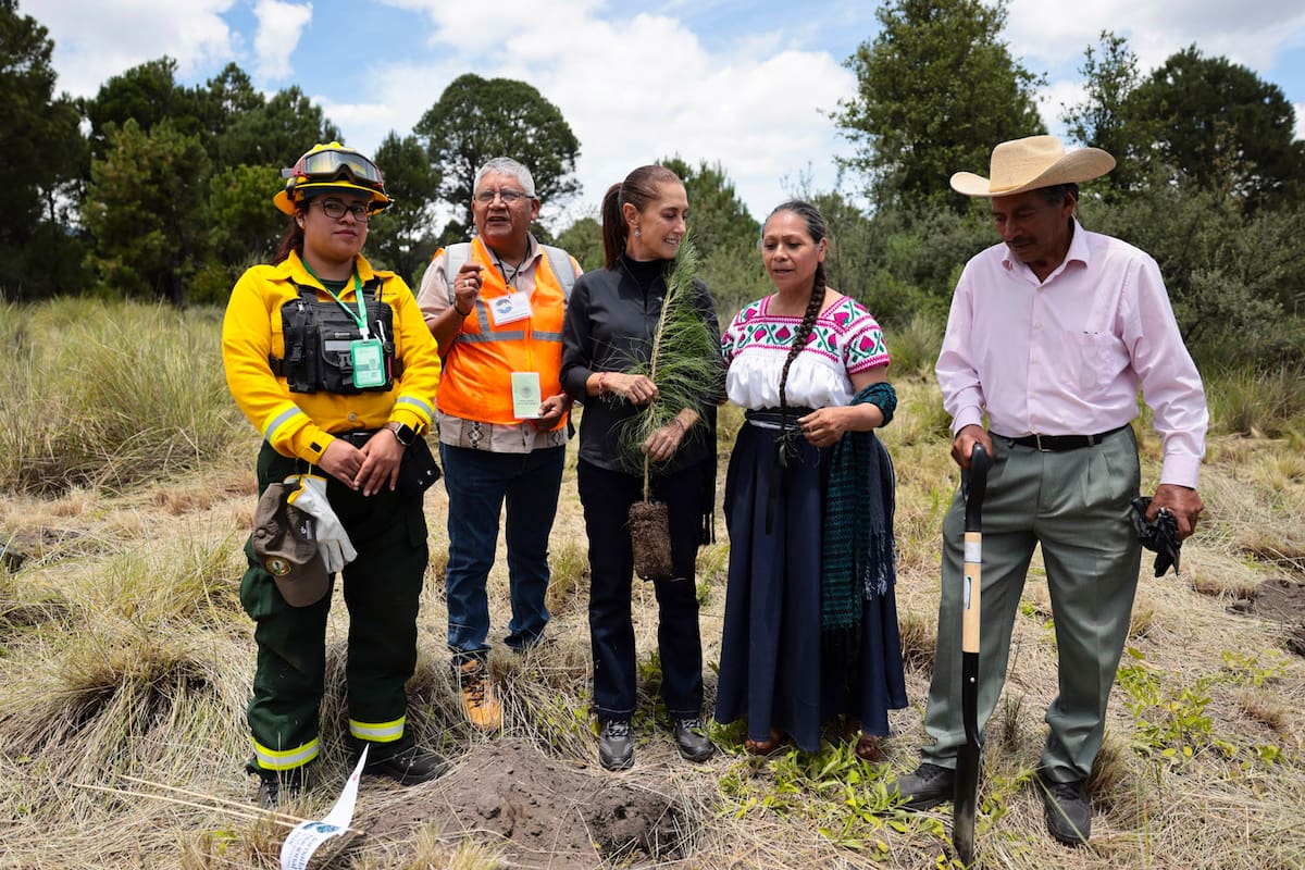 Claudia Sheinbaum establece el Día Nacional de la Reforestación y arranca una jornada para plantar 6.6 millones de árboles y plantas en más de 32 mil hectáreas de México