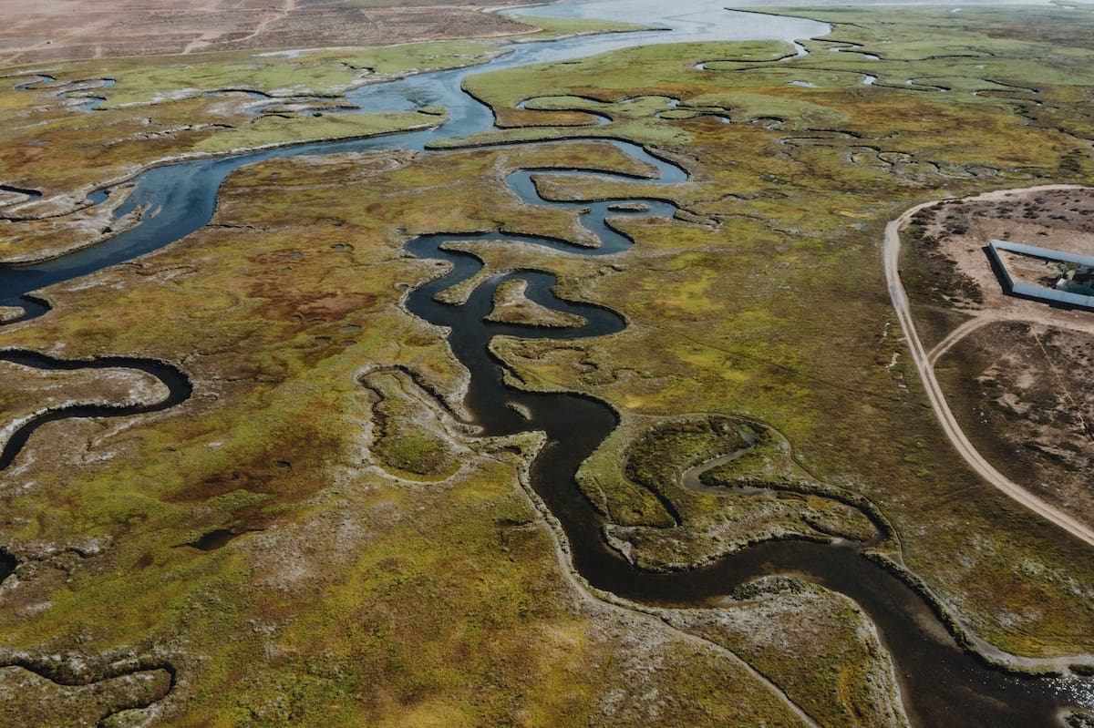 Organización mexicana sin fines de lucro que ha liderado acciones de defensa del futuro ambiental de Baja California. Foto: Cortesía