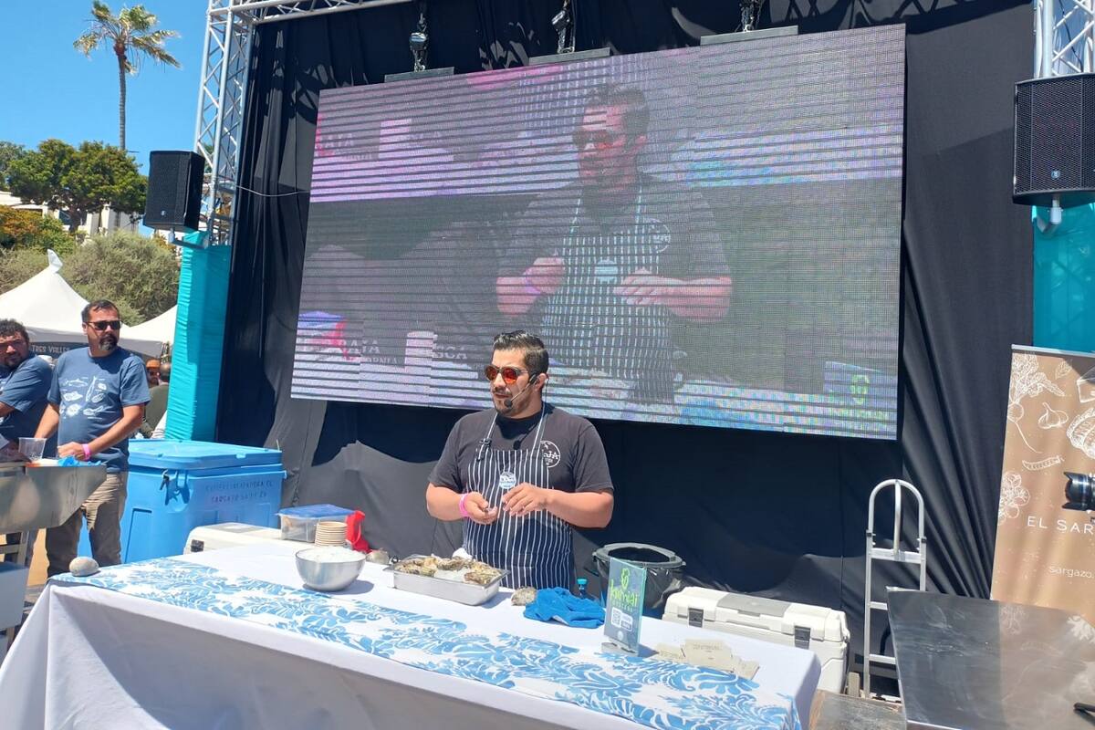 Disfrutan productos pesqueros en Festival de las Conchas y el Vino Nuevo