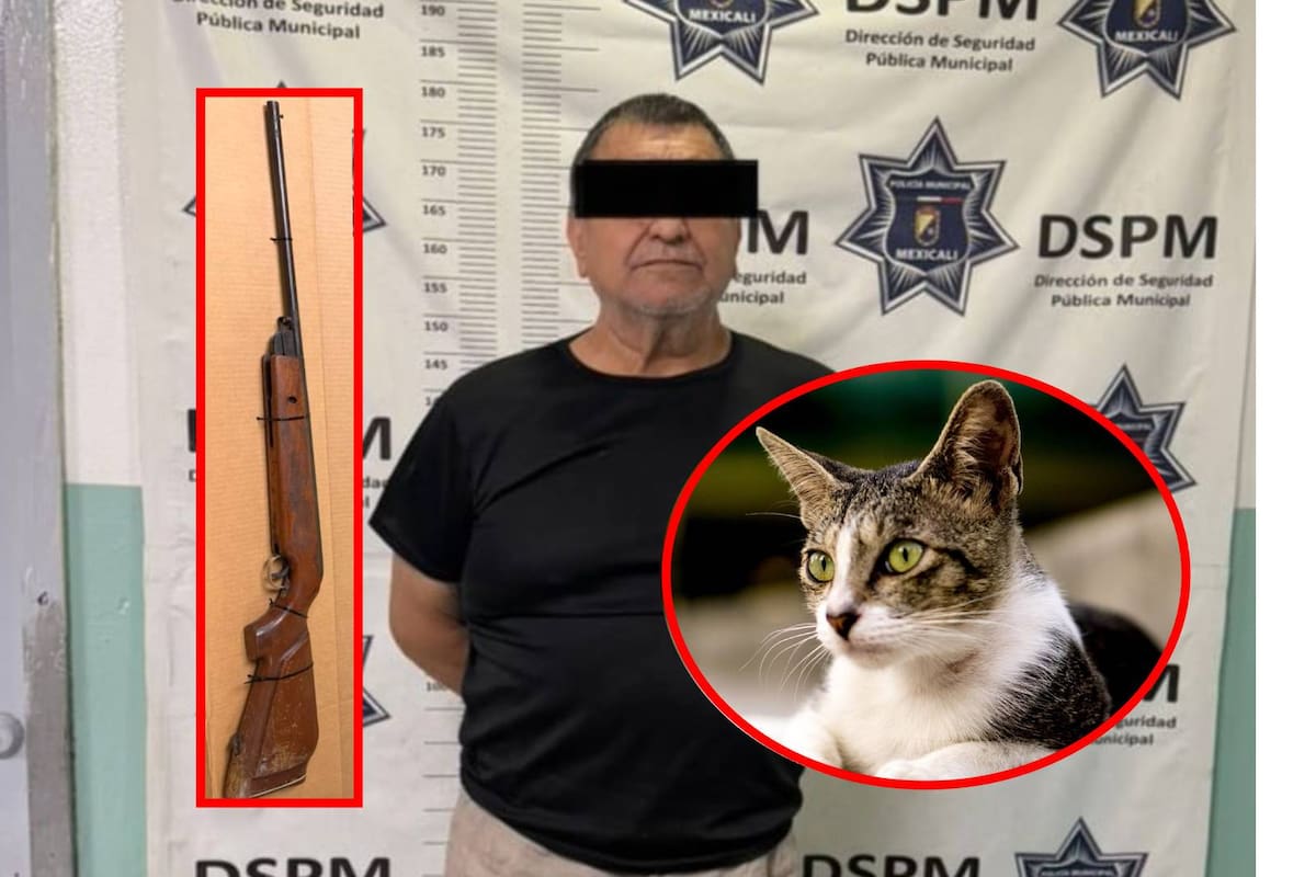 Adulto mayor asesina a un gato con rifle de postas y es detenido
