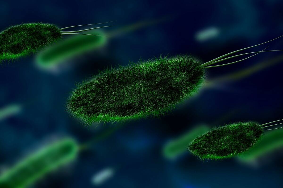 Coronavirus: por qué la existencia de un quintillón de virus en la Tierra es una buena noticia